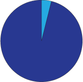 Pie Chart 1